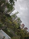 城市中绿植环绕的建筑景观