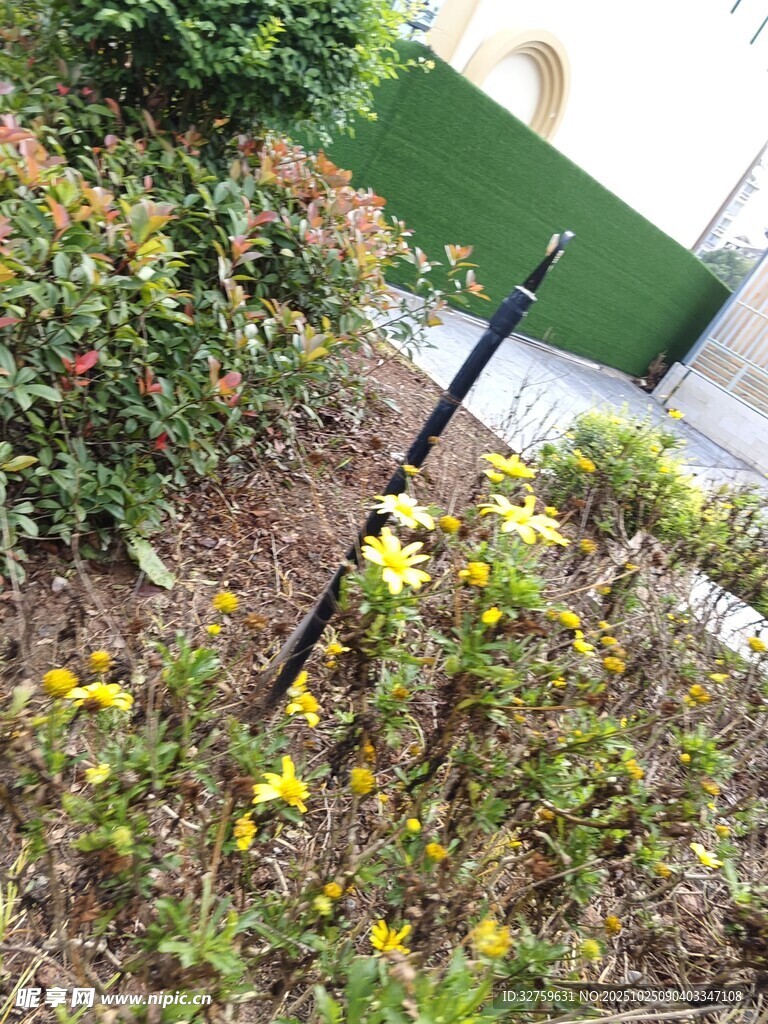 花园中的黑色园艺工具