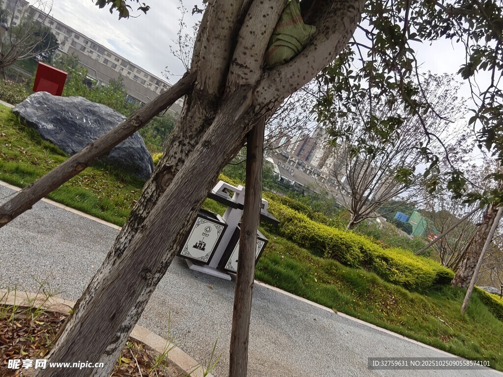 路边树干旁的白色电动车