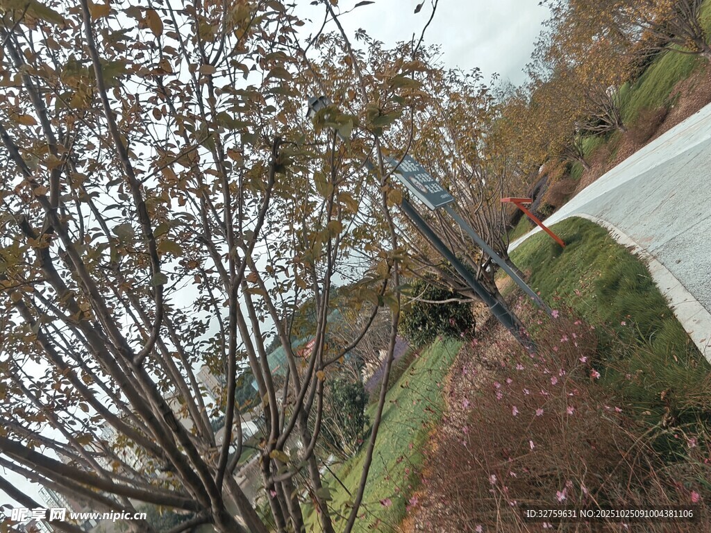 秋日林间小道风景