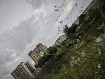 城市中绿植与建筑景观