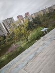 城市中绿植环绕的开阔区域