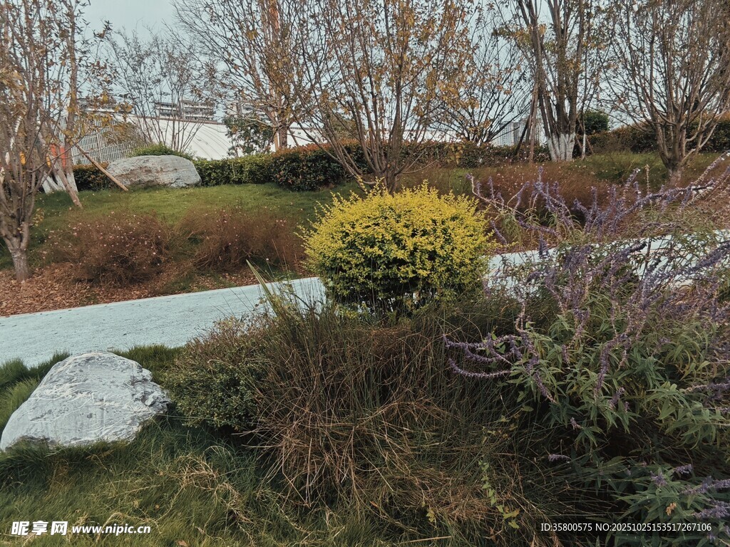 自然景致中的多彩植物景观