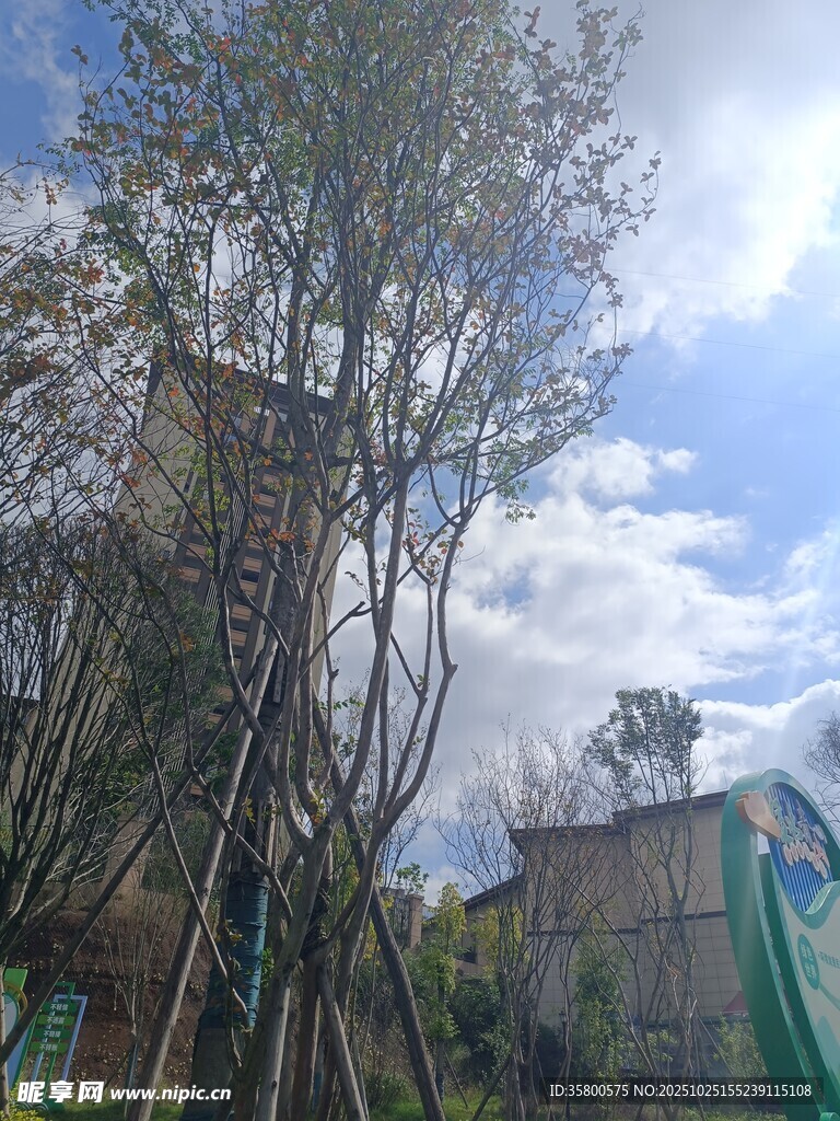 户外木质观景塔与周边景致