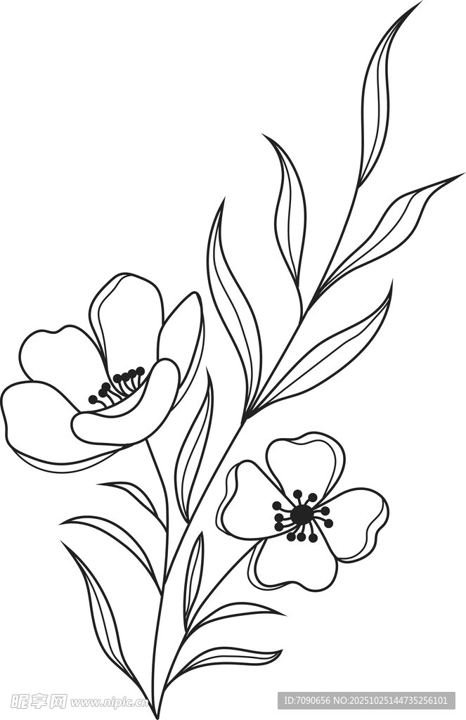 黑白花卉线条插画