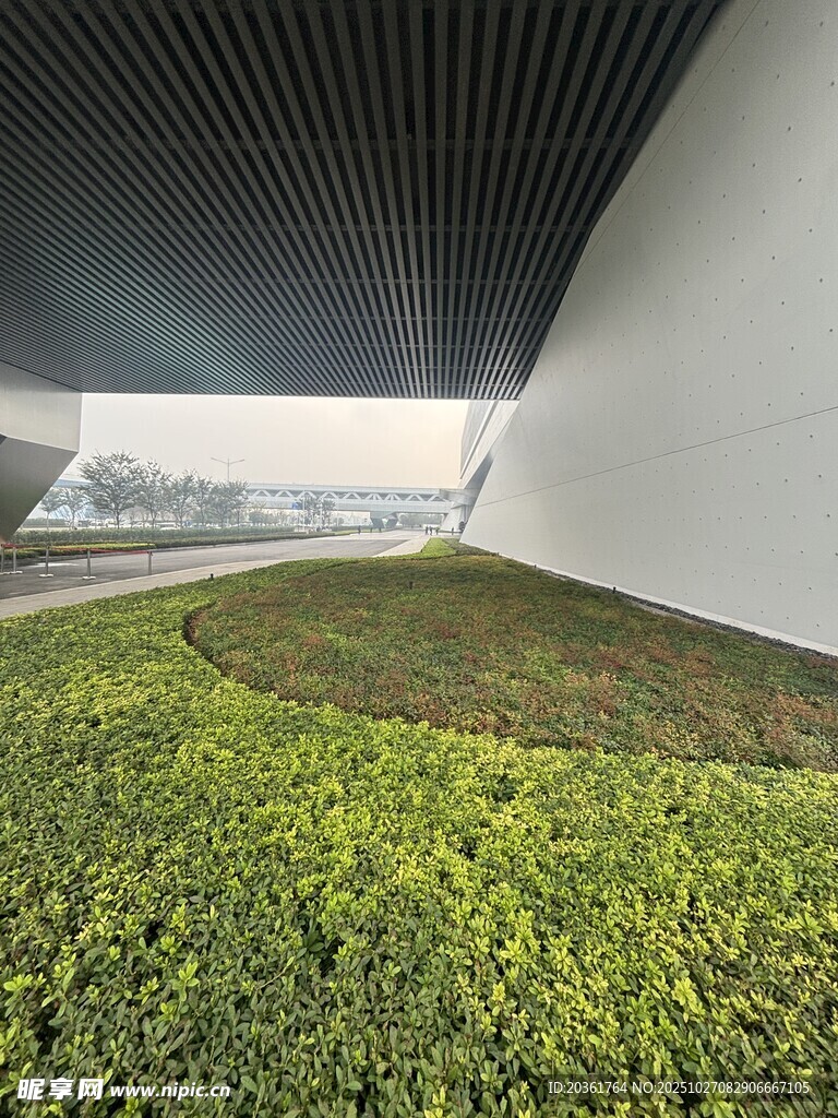现代建筑旁的翠绿草坪