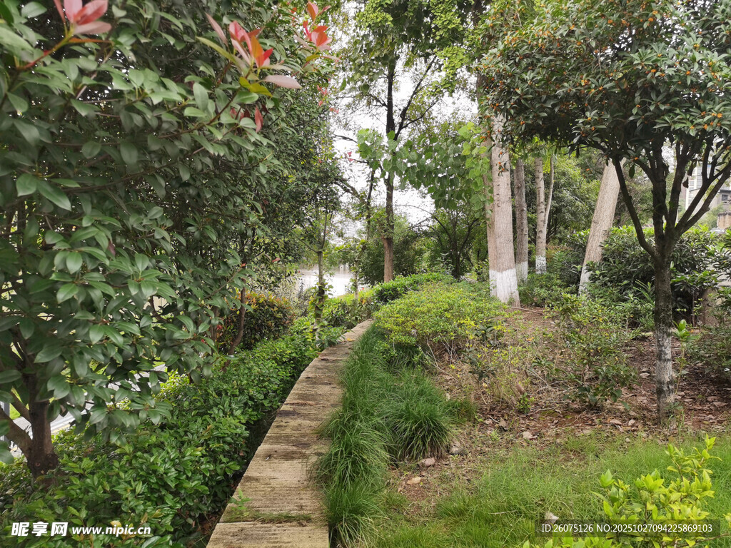 幽静园林小径景观