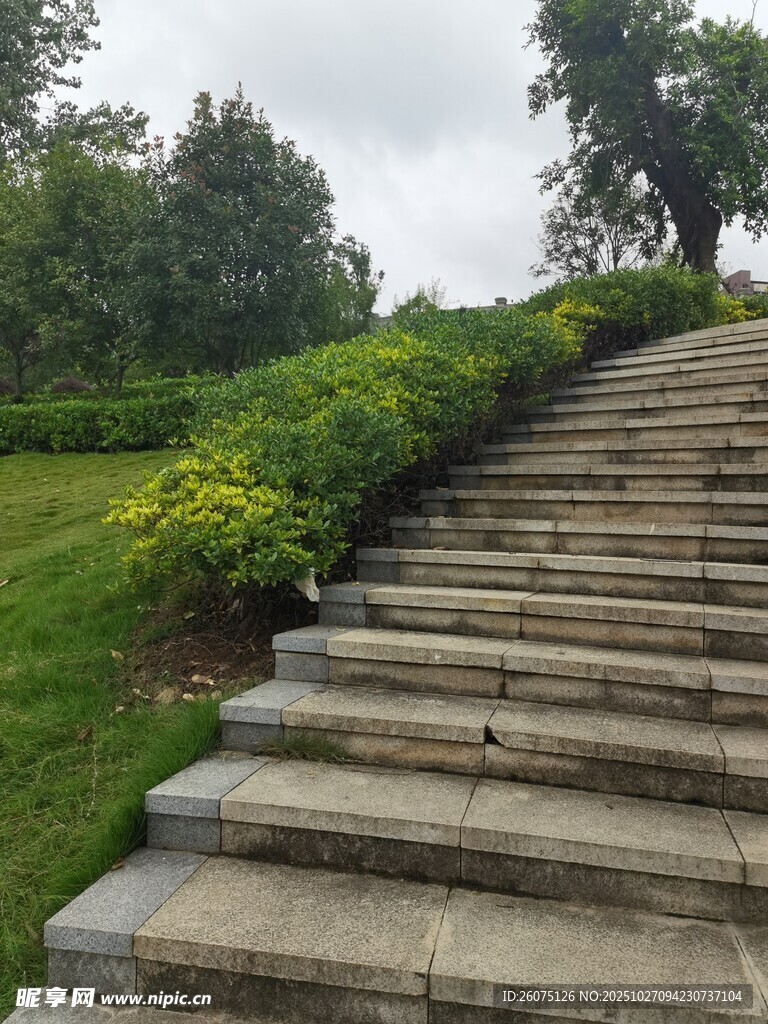 户外石阶旁绿意盎然