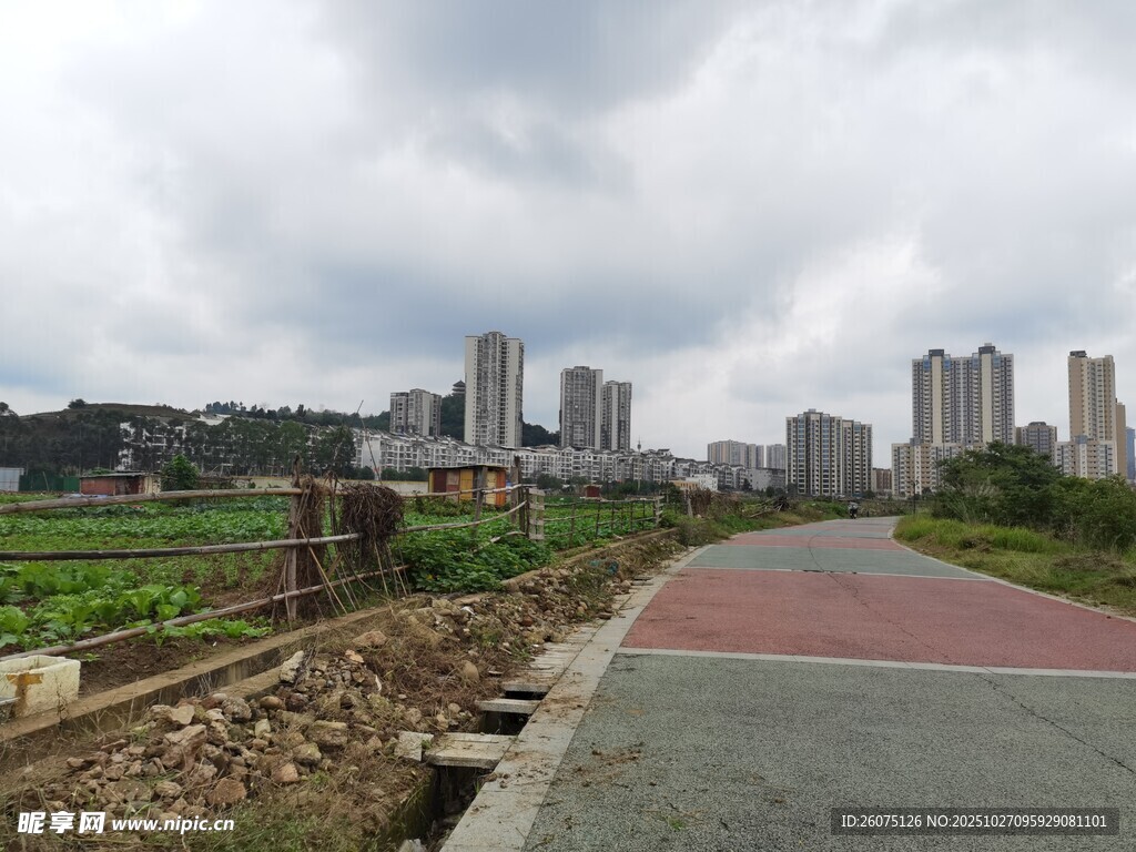 城郊道路边的城市景观
