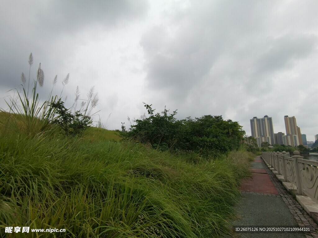 阴天草地旁的小路风景