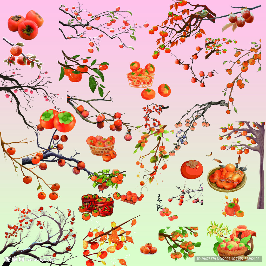 春日枝头果实花卉插画