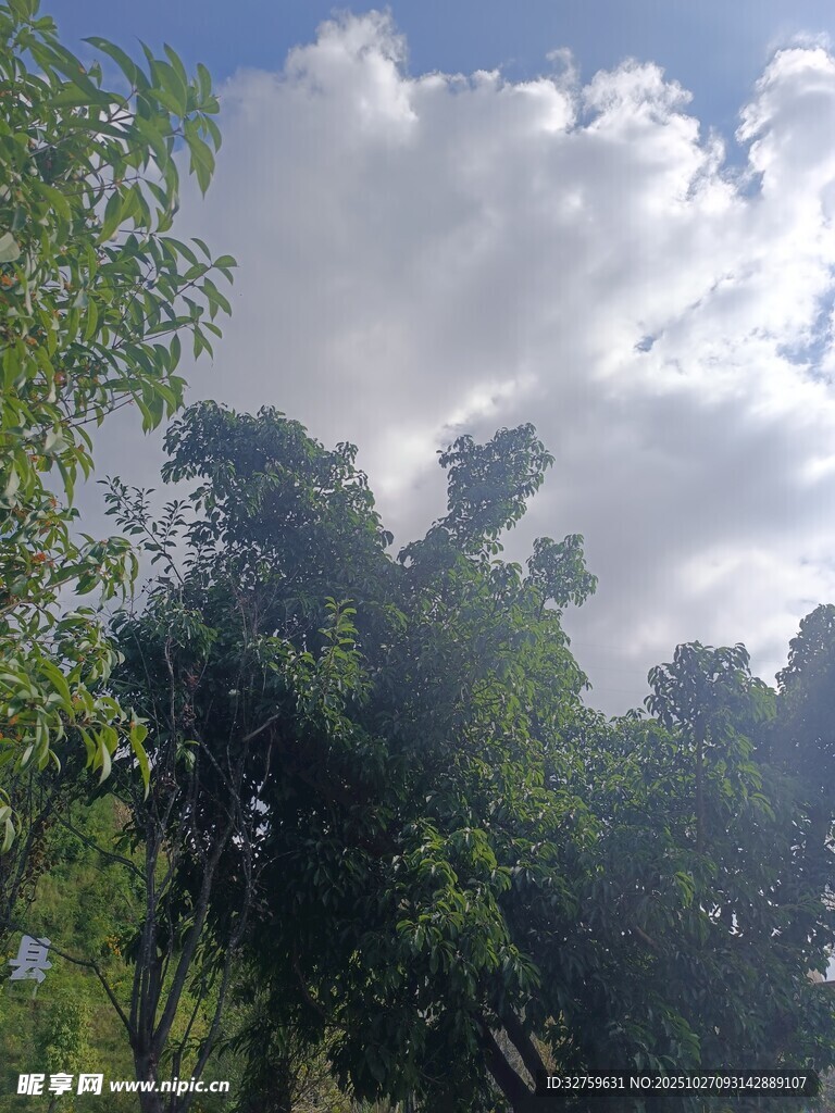 绿树之上的蓝天白云