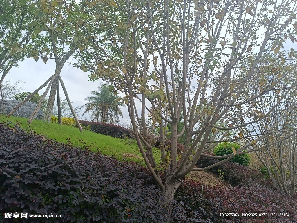 户外绿植景观一角