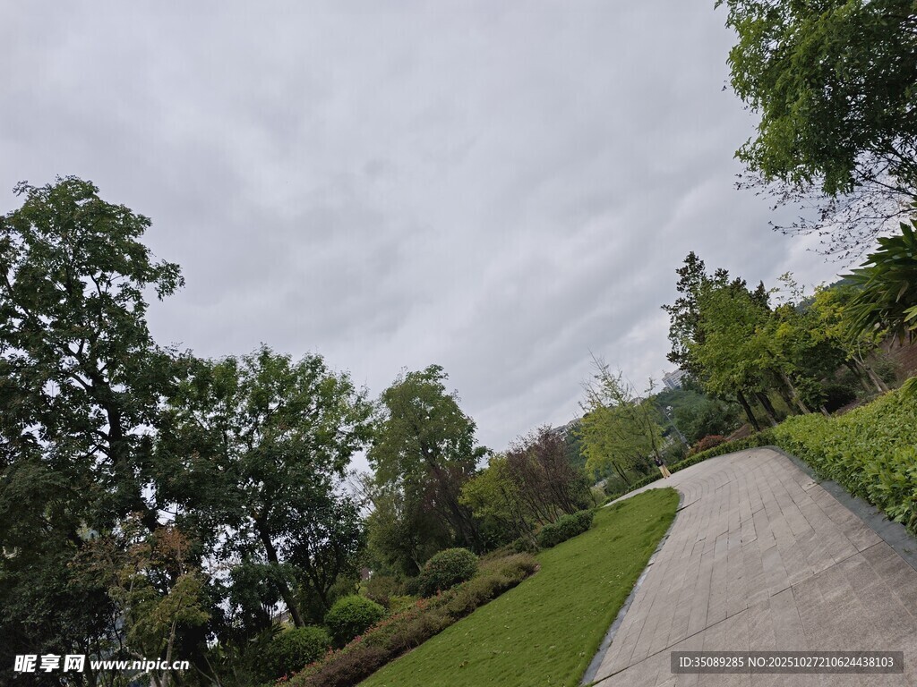 林间小径绿意盎然的景致