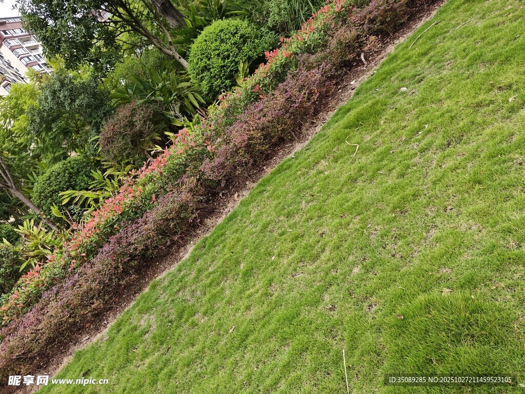 翠绿草坪与多彩植物景观