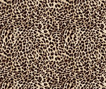 豹纹图案纹理背景图