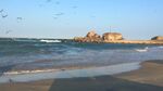 海边美景海浪与飞鸟相伴