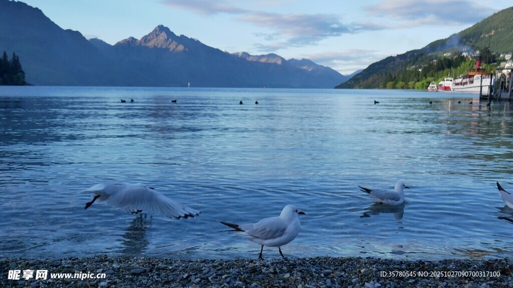 湖畔飞鸟与山水美景