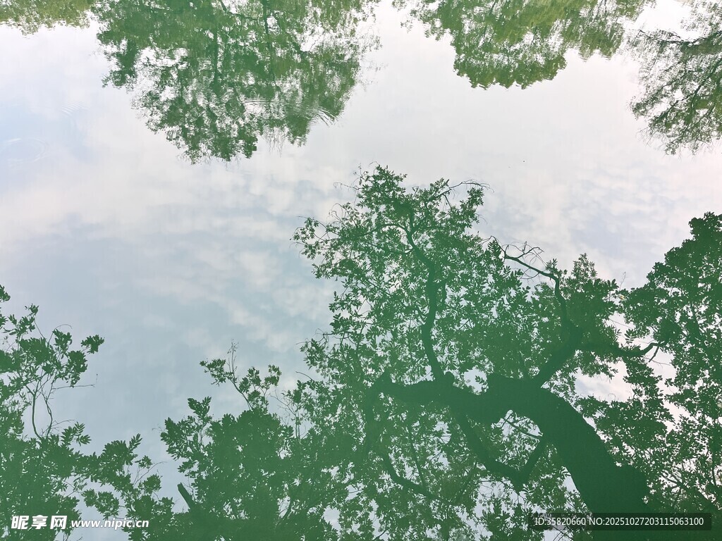 晴天龙泉公园湖中疏和天空倒影