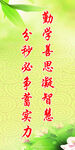勤学励志文字与绿植画面标语