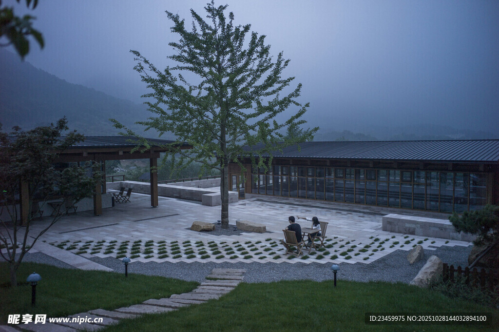 庭院中的静谧树木与建筑