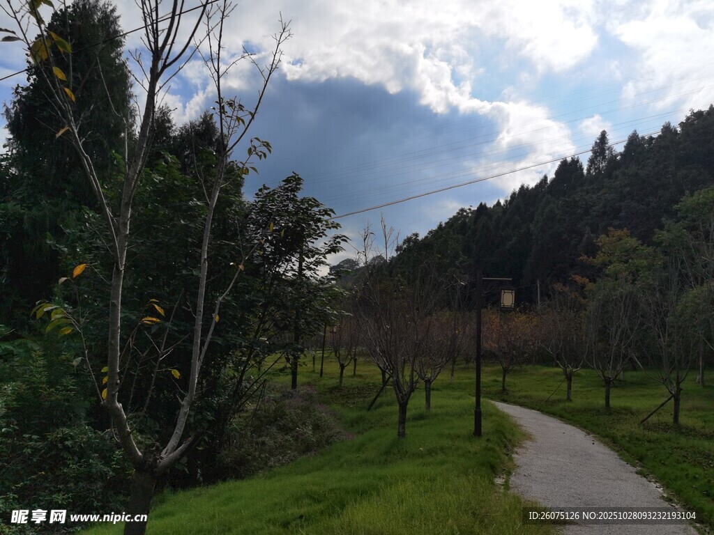 林间小径自然风光迷人