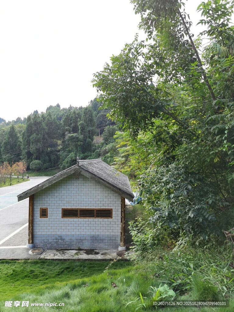 林间小屋静谧自然之景