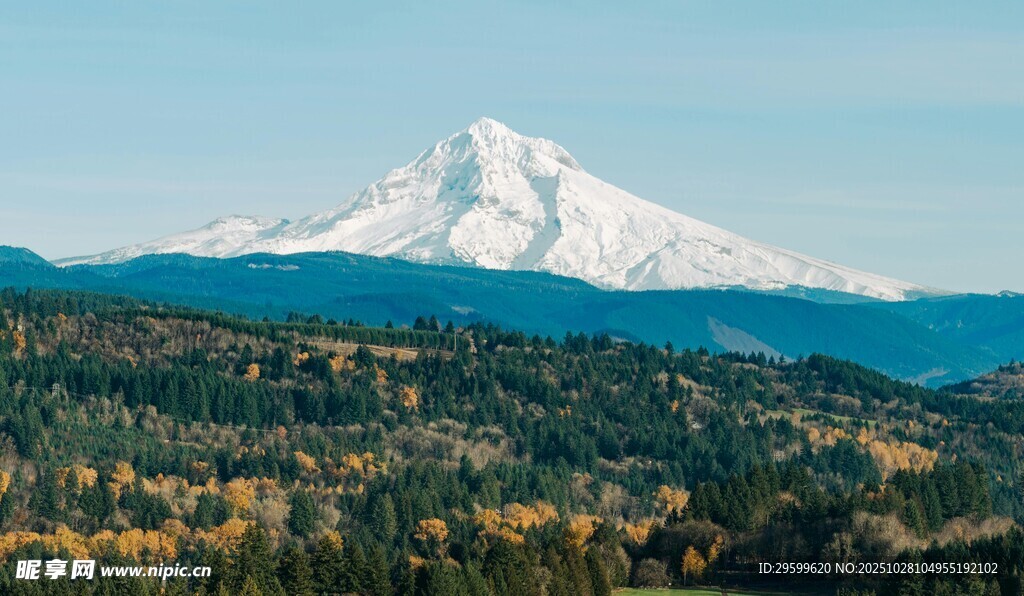 壮丽雪山下的多彩山林