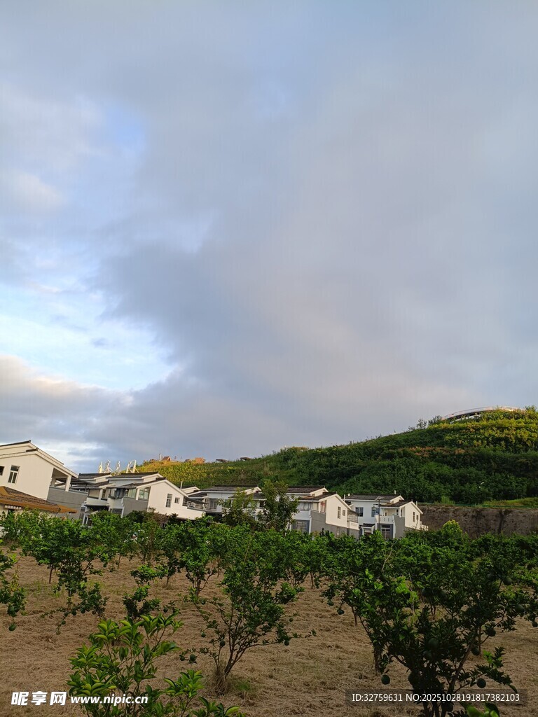 田园风光中的农舍与绿植