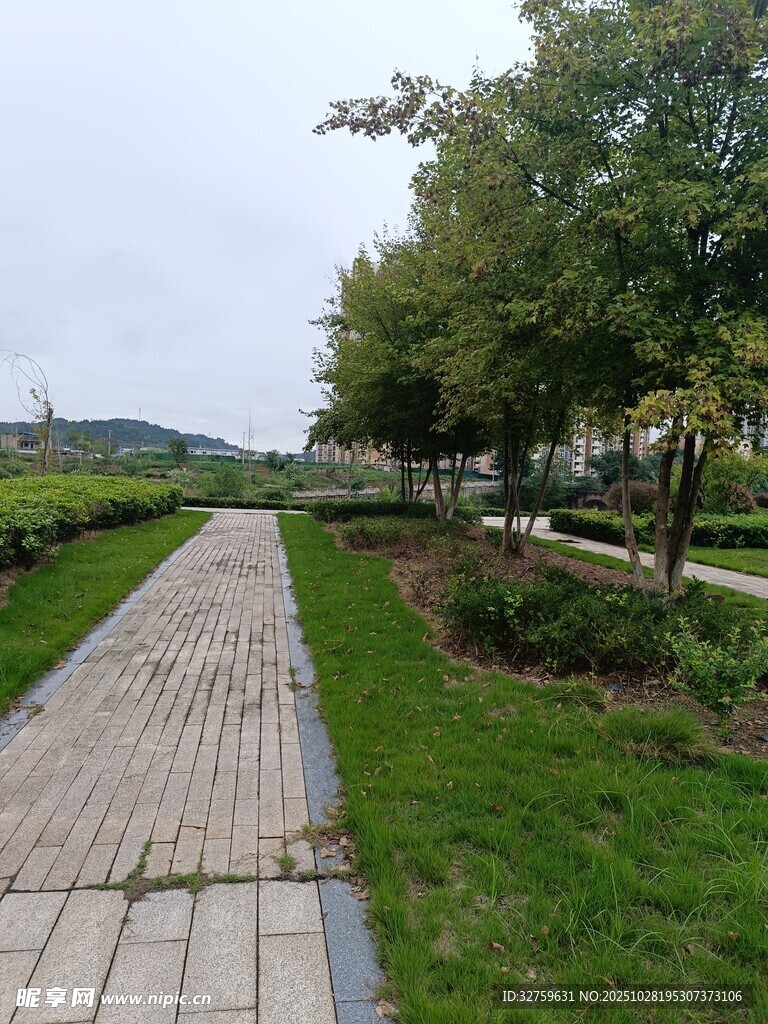 宁静的林间步道景观