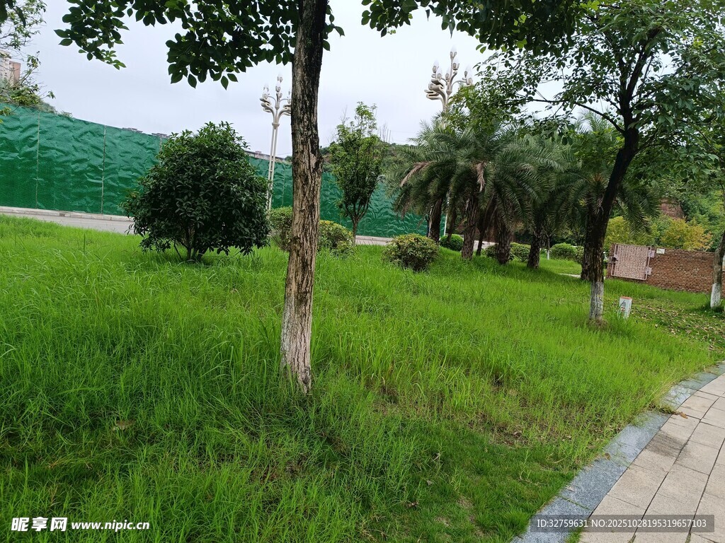 公园绿意盎然的草地景观