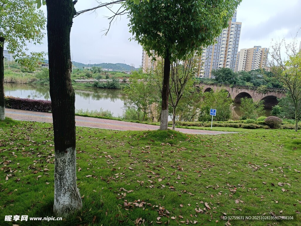 湖畔草地绿树风景图
