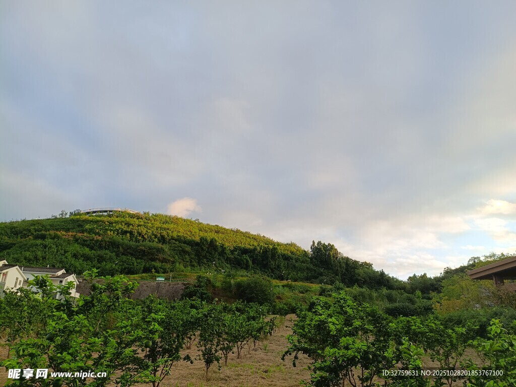 山坡田园风光美景