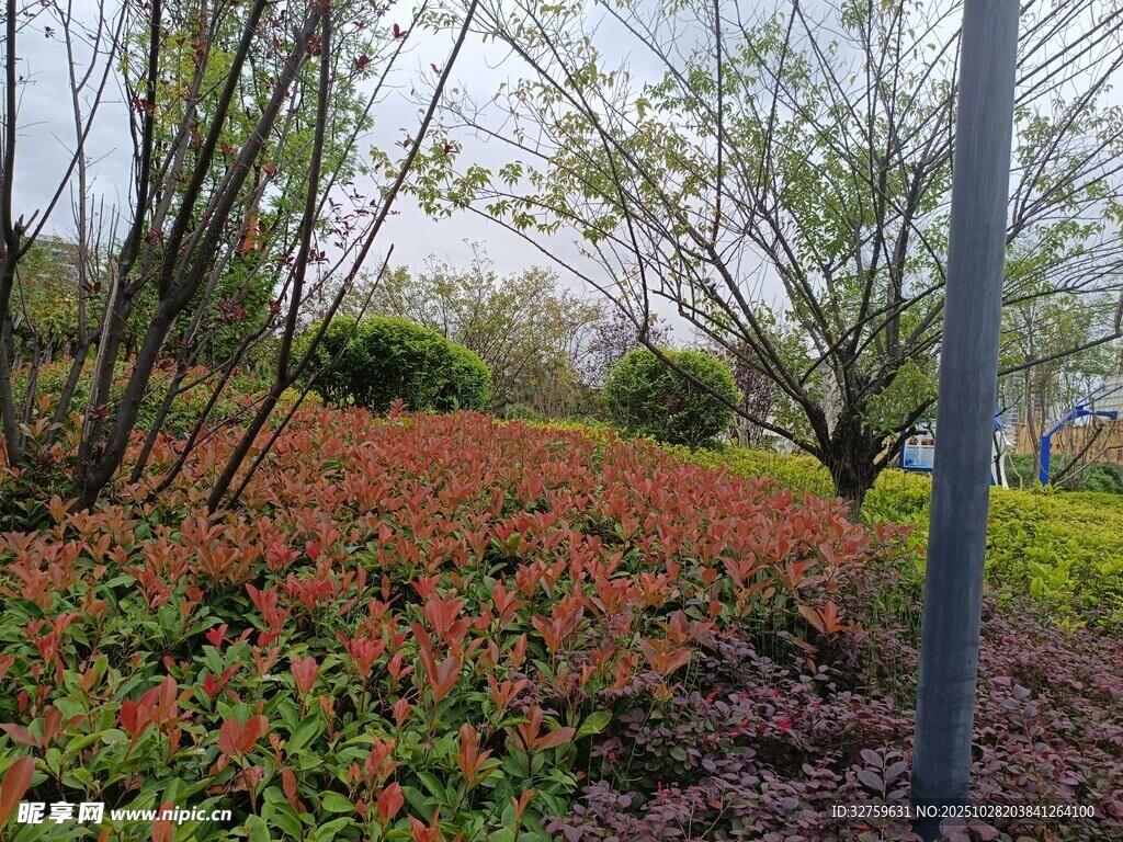 春日多彩植物景观