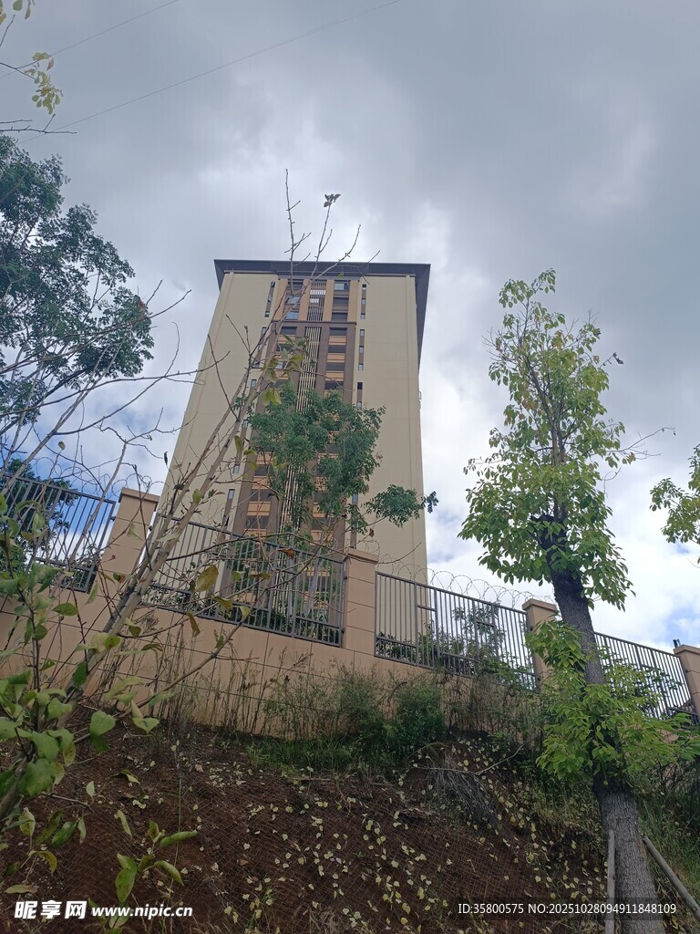 古老塔楼立于绿树环绕间