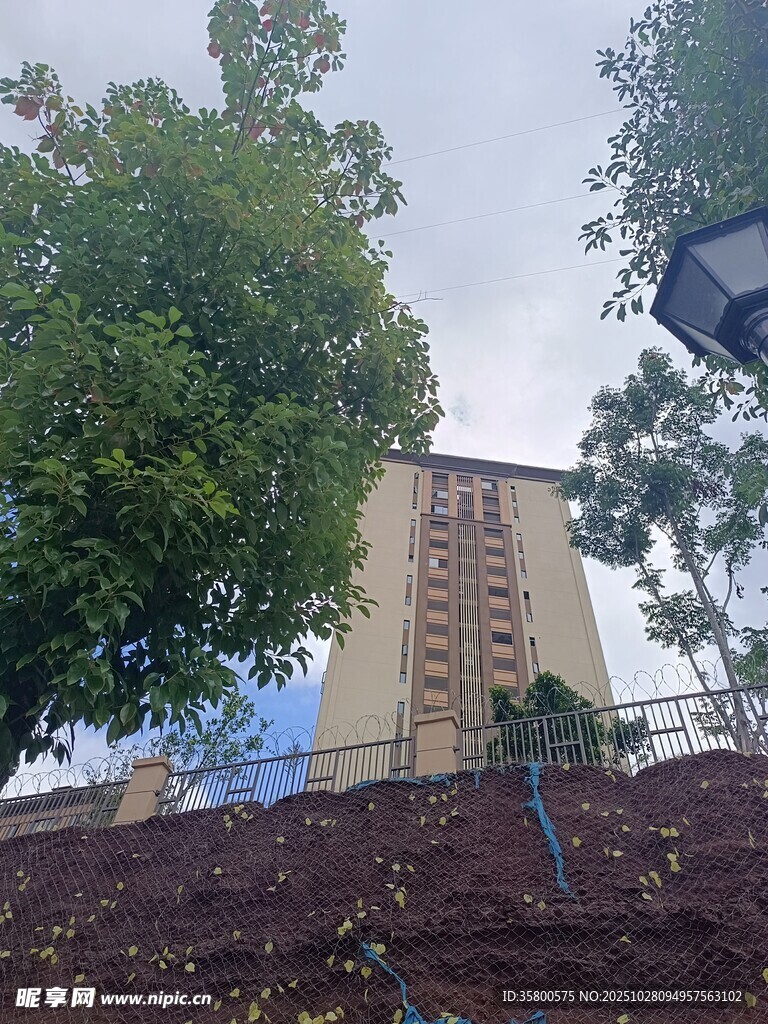 高楼旁绿树环绕的景致