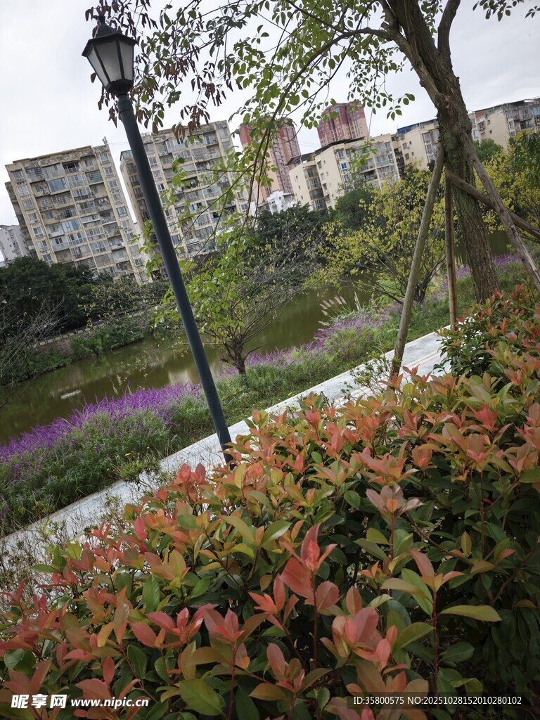 城市中多彩的绿植景观