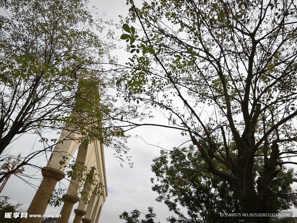 游乐园中的高耸游乐设施