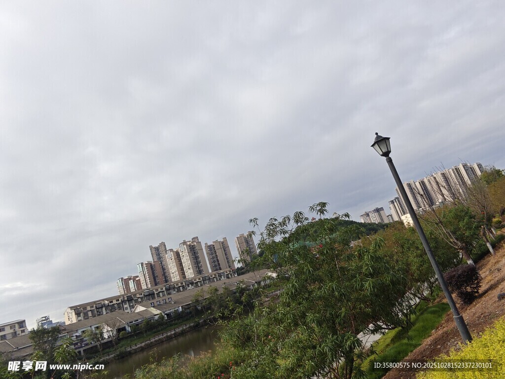 城市景观中的绿植与建筑