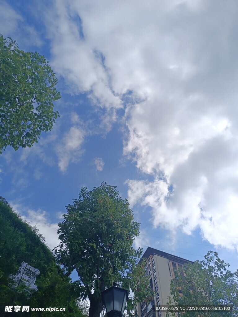 蓝天白云下的绿树与建筑