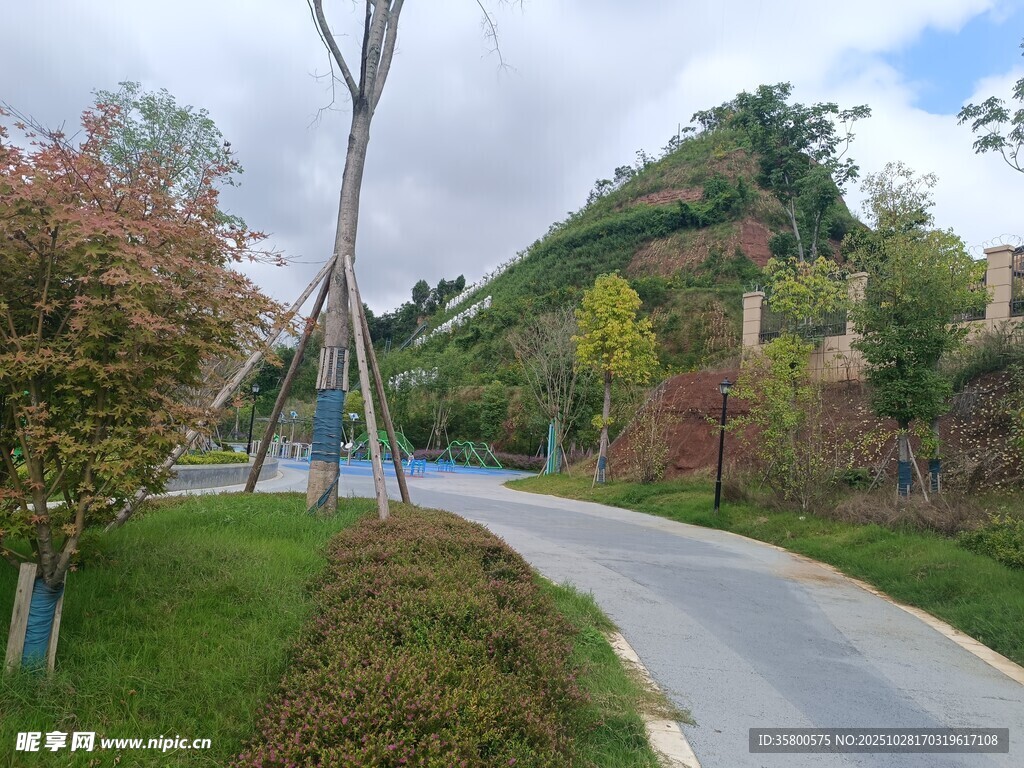 蜿蜒小路旁的多彩园林景观