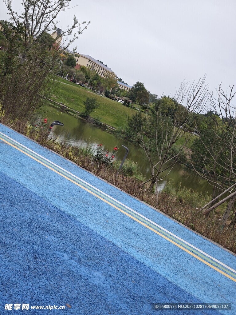 蓝色步道旁的自然景致