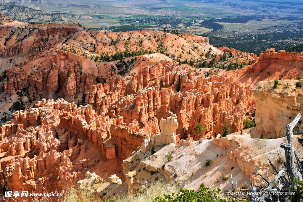 布莱斯峡谷壮丽自然景观