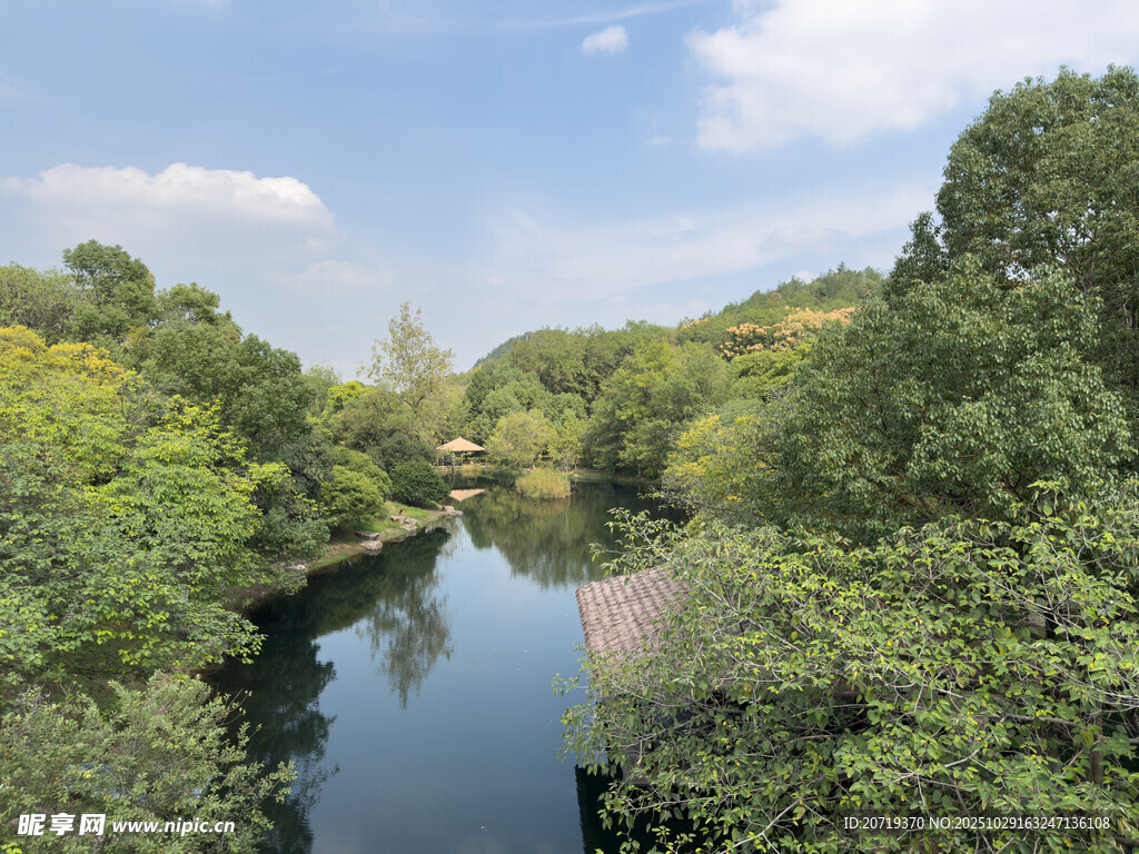 河畔绿树成荫的自然风光
