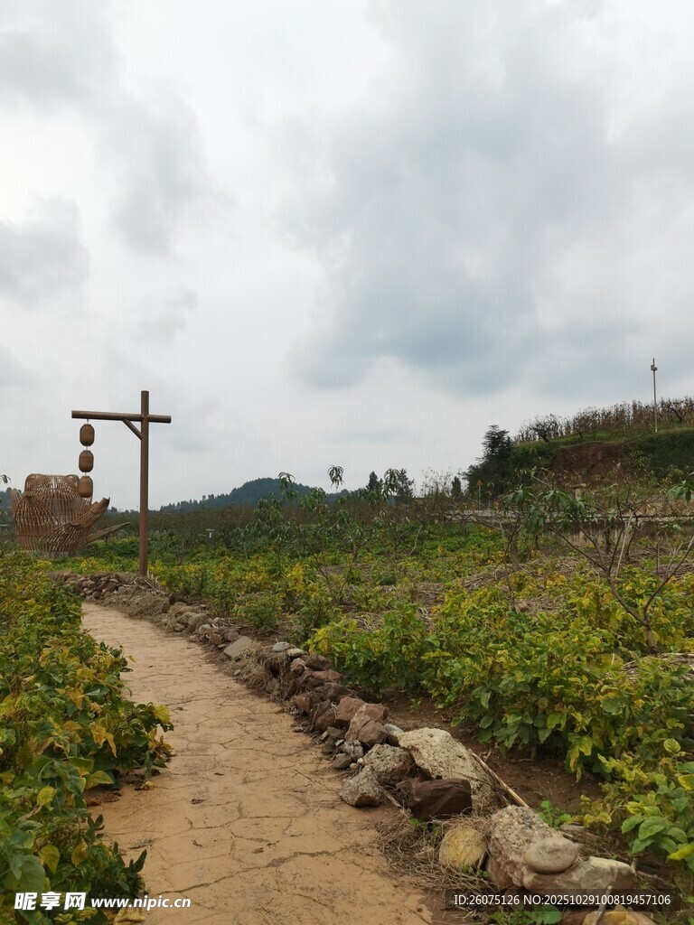 山间小径田园风光初现