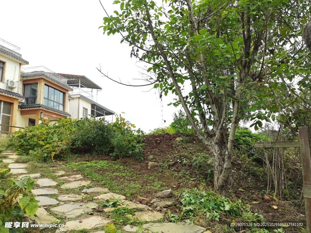 山间石径旁的清新民居