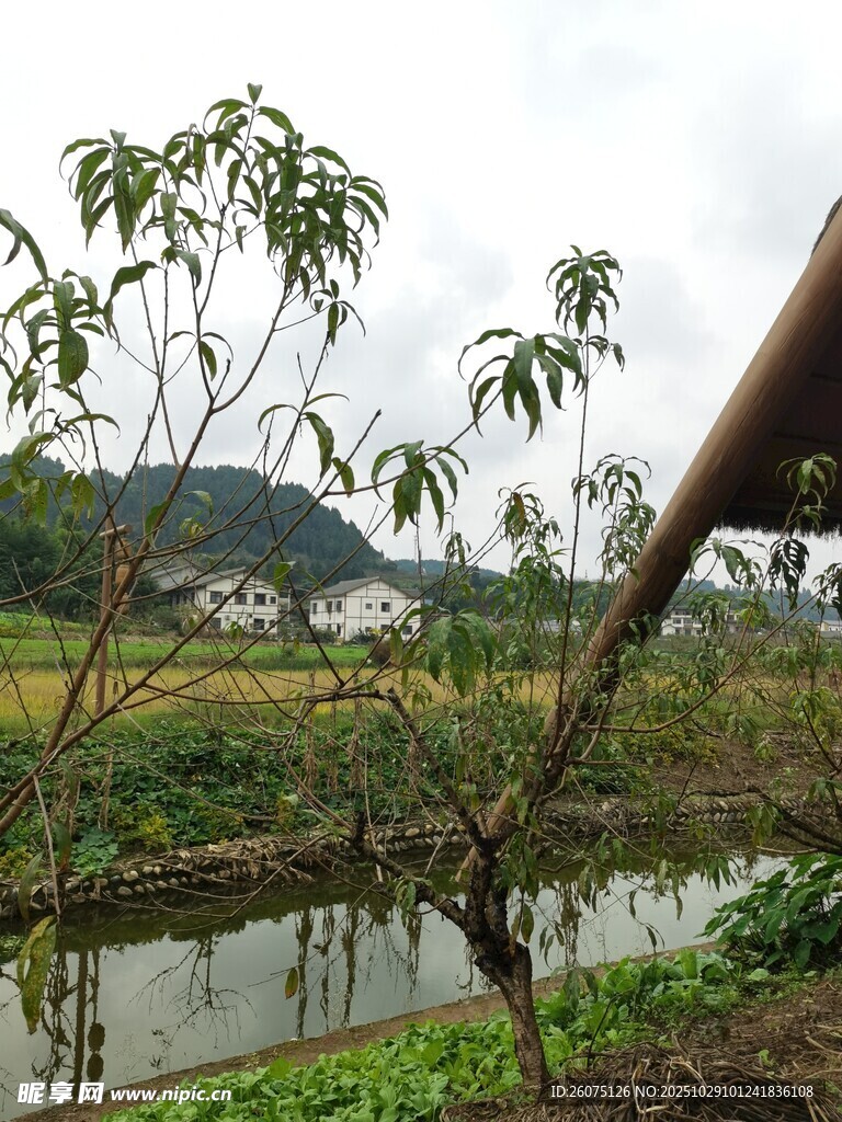 乡村田园风光景致