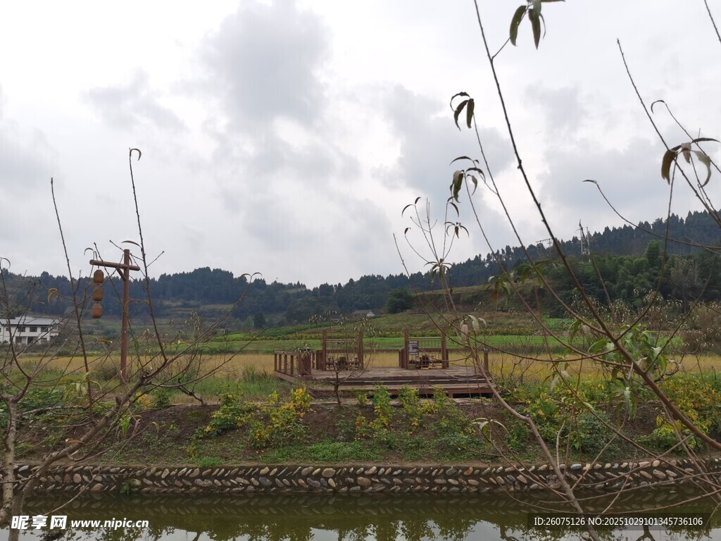 乡村水边景致宁静悠然