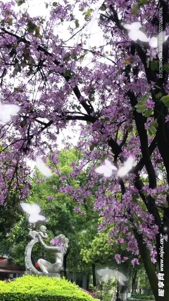 紫花烂漫下的优雅雕塑