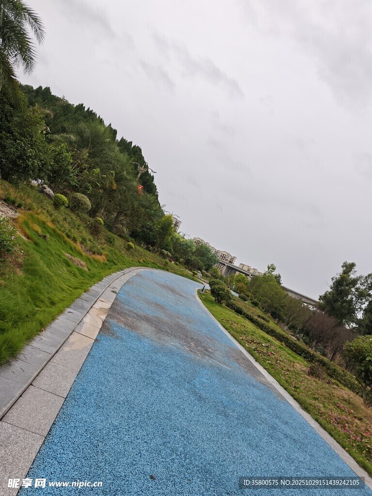 蓝色步道旁的绿意景致